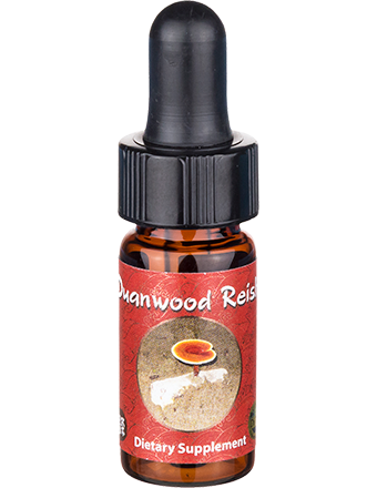 Duanwood Reishi Mini