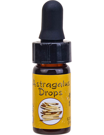Astragalus Mini