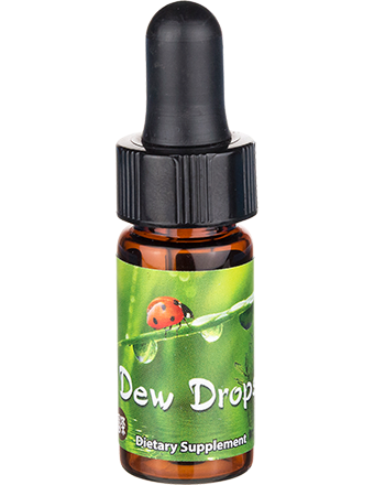 Dew Mini