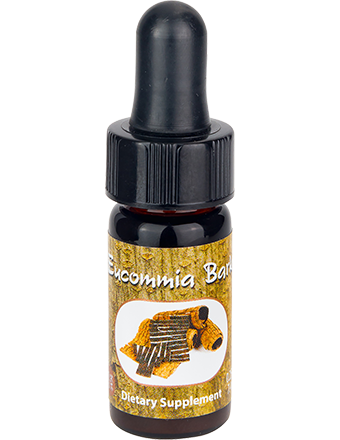 Eucommia Mini