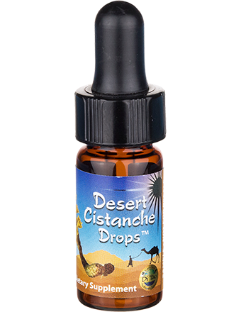 Cistanche Mini