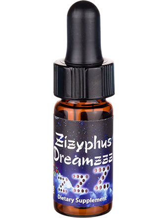 Zizyphus Mini