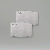 Disposable KN95 Filters for Face Mask (2 pack)