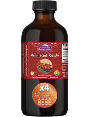 Wild Red Reishi Drops -- 8 oz Wild Red Reishi Drops -- 8 oz