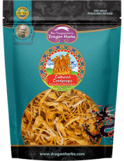 Cultured Cordyceps - Munchable Cordyceps Cultured Cordyceps - Munchable Cordyceps