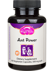 Ant Power Ant Power