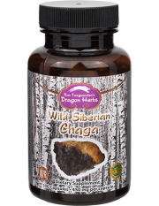 Wild Siberian Chaga