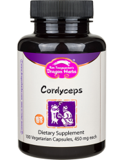 Cordyceps