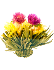 Double Happiness Blossom Tea, 20 bulb pack