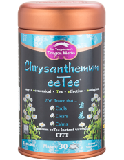 Chrysanthemum eeTee in Jar