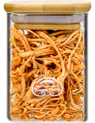 Cultured Cordyceps in Glass Jar