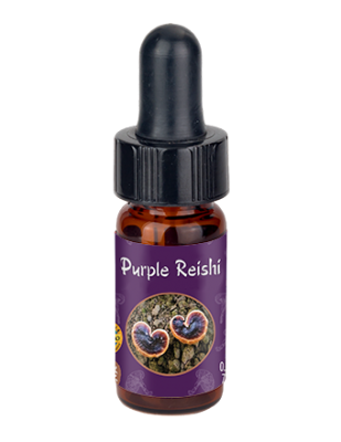 Purple Reishi Mini Drops, Organic