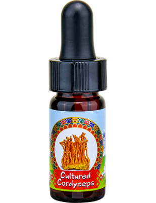 Cultured Cordyceps Mini Drops