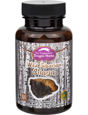 Wild Siberian Chaga