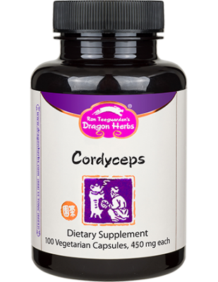 Cordyceps