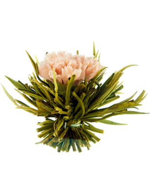 Lychee Carnation Blossom Tea, 10 bulb pack