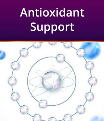 Antioxidant Support