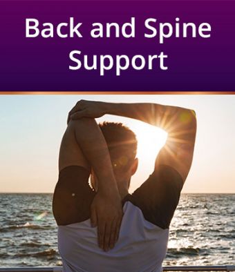 Back and Spine Support