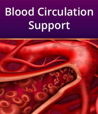 Blood Circulation Support