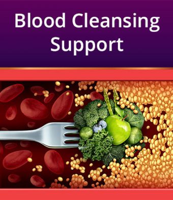 Blood Cleansing Support