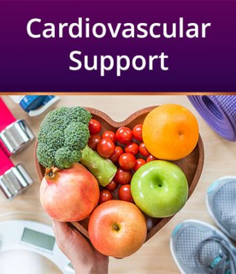 Cardiovascular Support