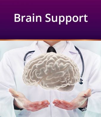 Brain Support