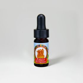 Cultured Cordyceps Mini Drops 0.25 fl. oz.