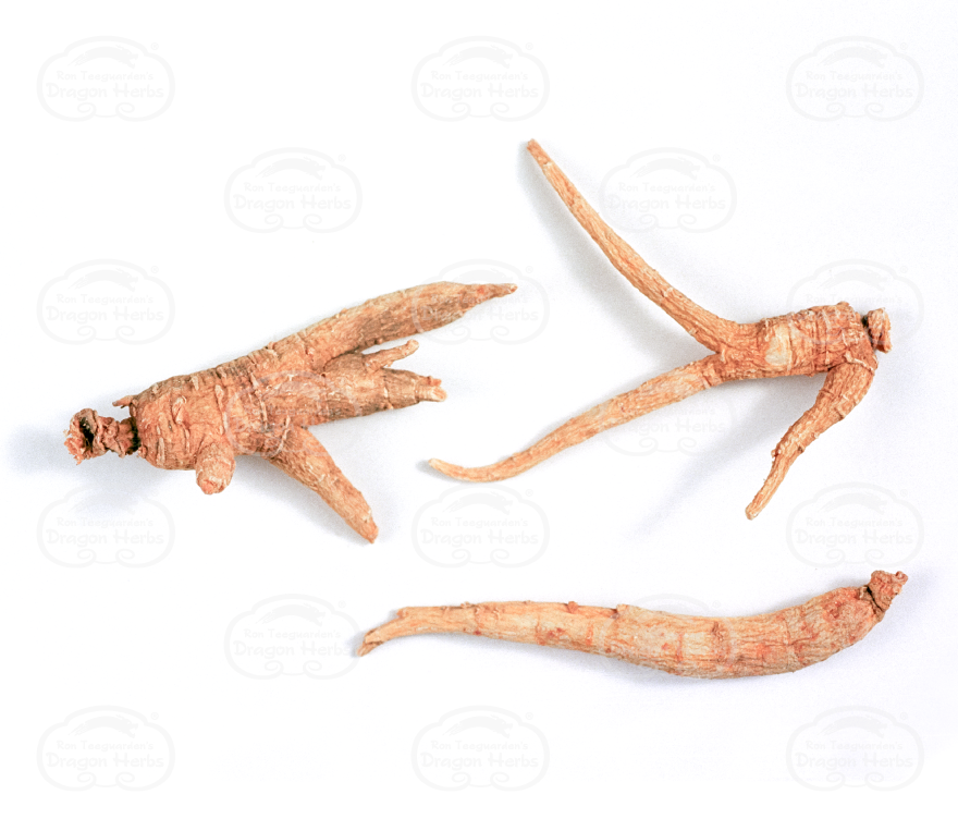 American Ginseng