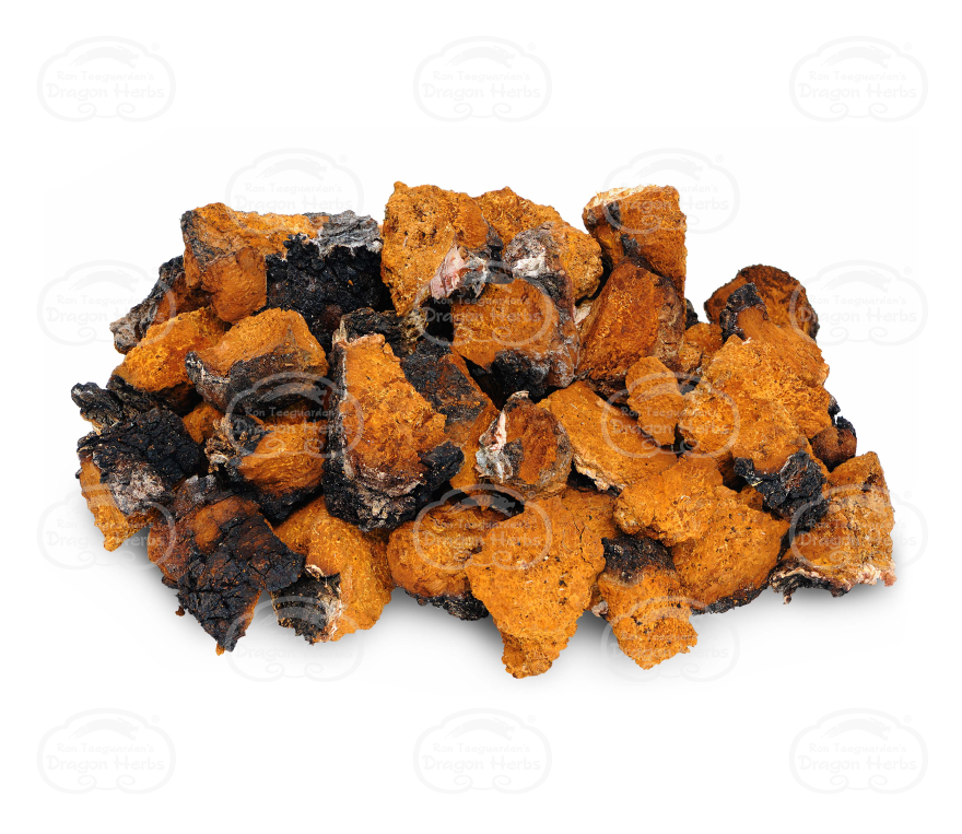 Chaga