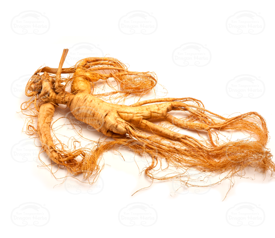 Chinese Ginseng