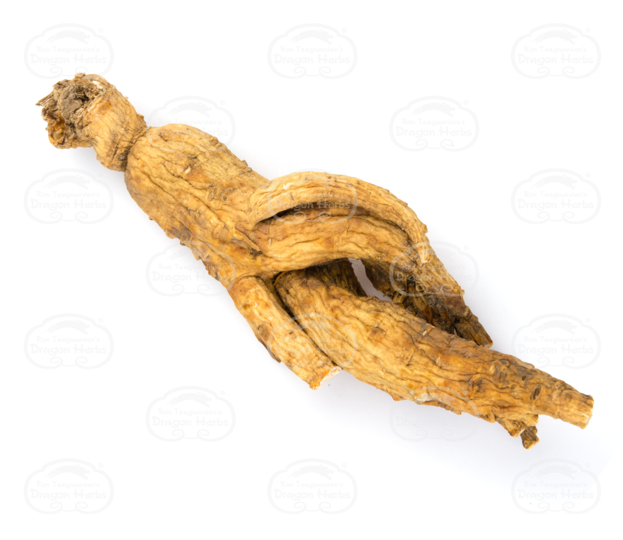 Chinese White Ginseng