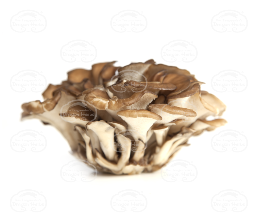 Maitake