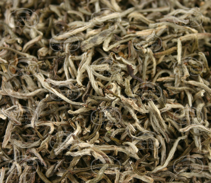 Silver Needle Tea