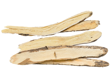 Astragalus root