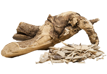 Eleuthero root