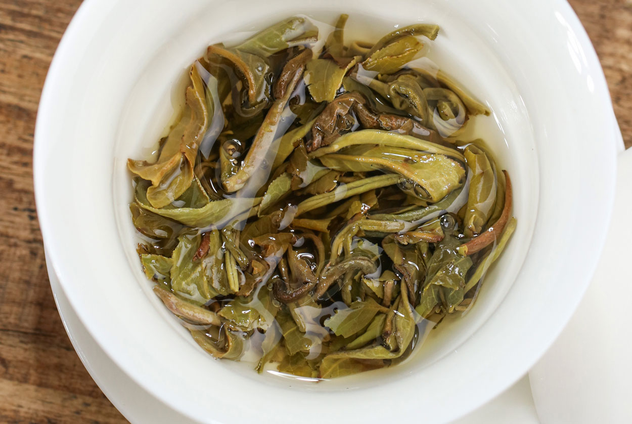 Unfurled Jasmine Tea