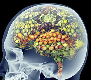 Brain Support - Tonic Alchemy