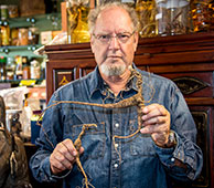 Ron and Wild Ginseng 2  