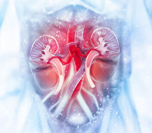 Blood Cleansing - Kidney Blood Cleansing