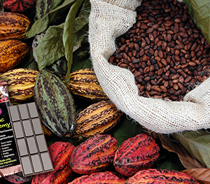 Organic Arriba Criollo Cacao Powder and Tonic Alchemy powder blend