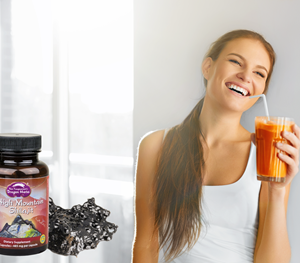 Shilajit, the most important natural life supporting substance of Ayurveda