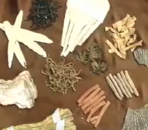 What Dragon Herbs Stands For - video