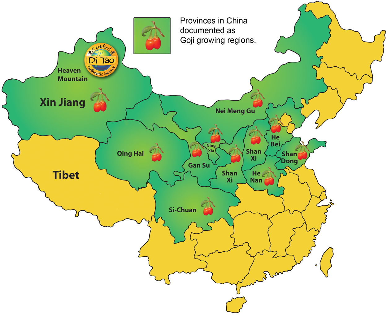 Goji growing provinces in China