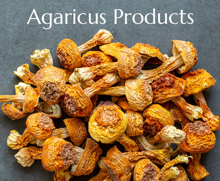 Agaricus Producs