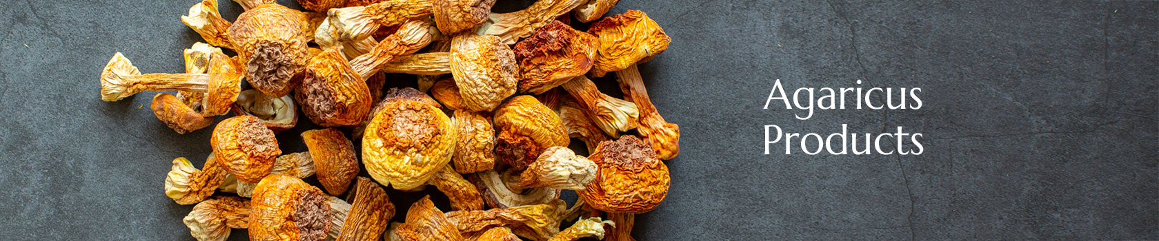 Agaricus Producs