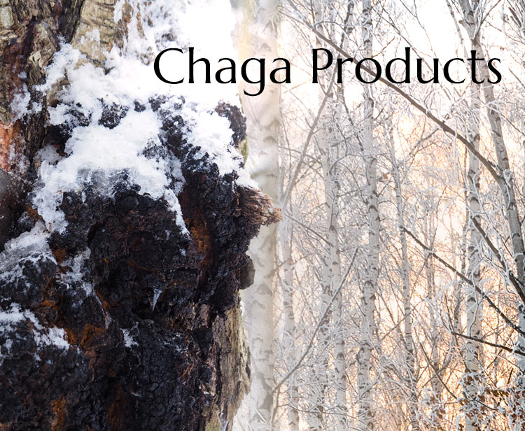 Chaga Producs