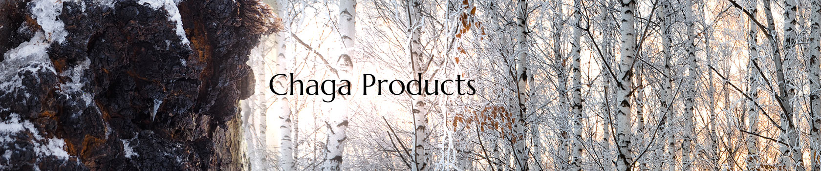Chaga Producs