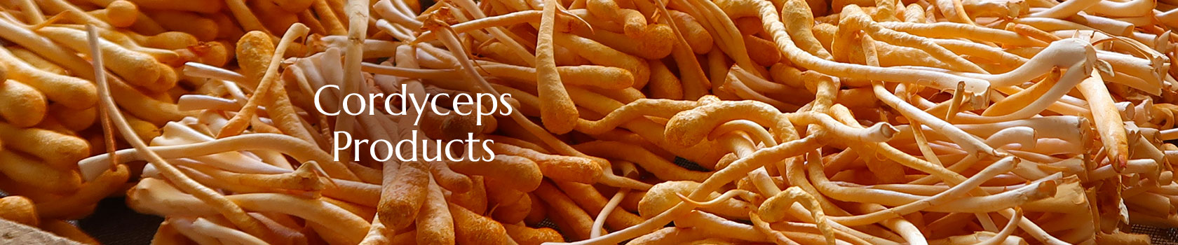Cordyceps Producs