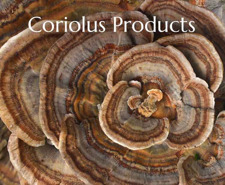 Coriolus Producs
