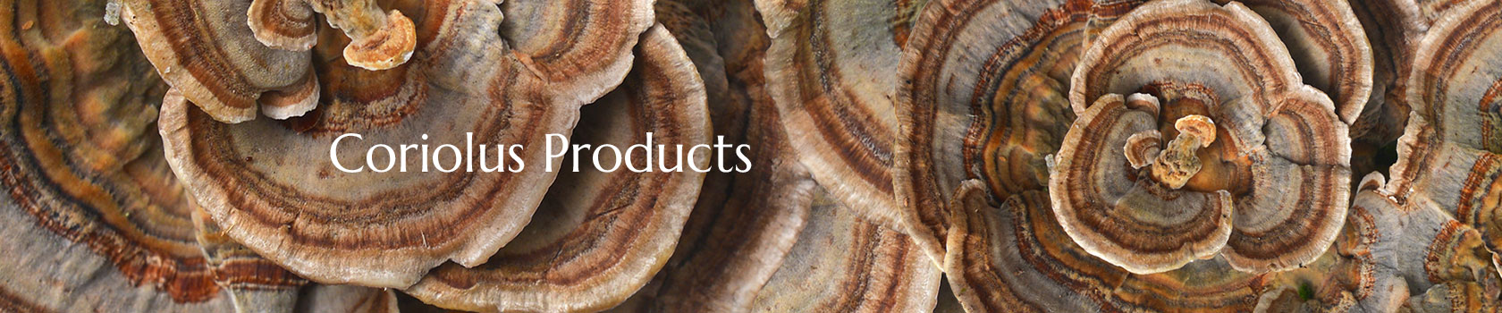 Coriolus Producs